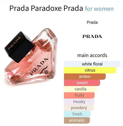 prada paradox notes